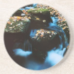 Autumn River Beverage Coasters
