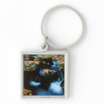 Autumn River Key Chains