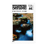 Autumn River Stamps