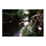 Autumn River Poster