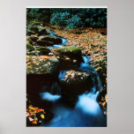Autumn River Print
