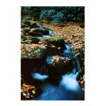 Autumn River Print