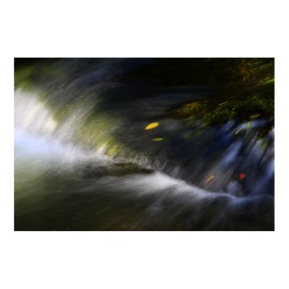 Autumn River Print print