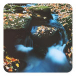 Autumn River Square Sticker