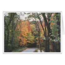 Autumn Road cards by mkreag Autumn Road cards