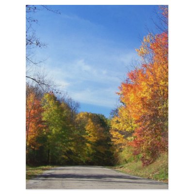 autumn road customized letterhead by PhotoLisa