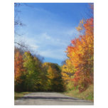autumn road customized letterhead