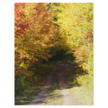 Autumn road letterhead design