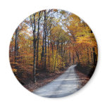 Autumn Road Magnets