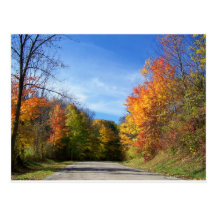 autumn road post cards