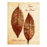 autumn romance - save the date announcement postcards
