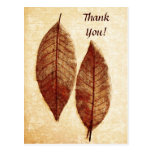 autumn romance wedding thank you card postcard