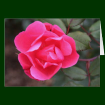 Autumn Rose cards
