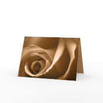 Autumn Rose Greeting Card