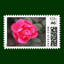 Autumn Rose stamps