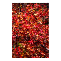 Autumn, San Luis Obispo County, California posters