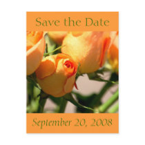 Autumn Save the Date Postcard Roses