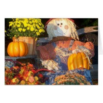Autumn Scene cards