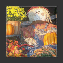 Autumn Scene magnets