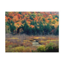 Autumn Scene postcards by valleyvisions Autumn Scene postcards