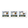 autumn sheep scrapbook sticker bumper sticker