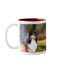 Autumn Sheltie Mug mugs