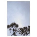 Autumn Skies II Stationary Stationery Design