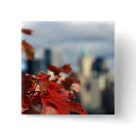 Autumn skyline buttons
