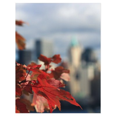 Autumn skyline custom flyer by fantasian_angel