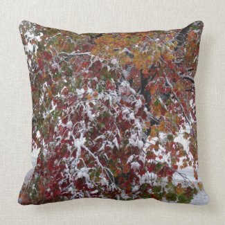 Autumn Snow American MoJo Pillows
