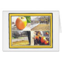 AUTUMN SPLENDOR cards