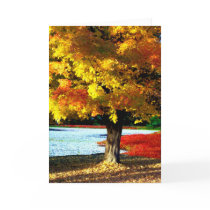 Autumn Splendor cards