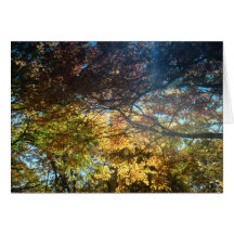 Autumn Splendor Card
