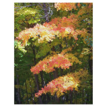 autumn splendor flyer design