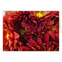 Autumn Splendor Greeting Card