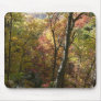Autumn Splendor Mousepad