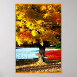 Autumn Splendor posters