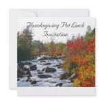 Autumn Splendor / Thanksgiving Invitations