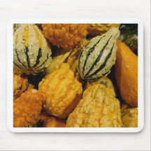 Autumn Squash Mouse Pads