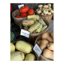 Autumn Squash, Paley's posters