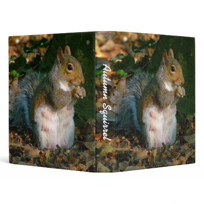 Autumn Squirrel (1in) 3 Ring Binders by artberry