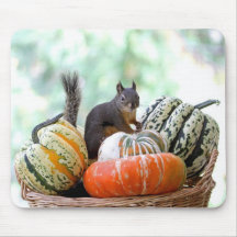 Autumn Squirrel Mouse Pads