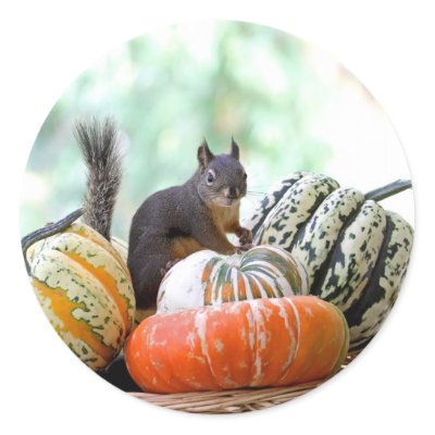 Autumn Squirrel Stickers
