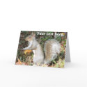 Autumn Squirrel Template cards