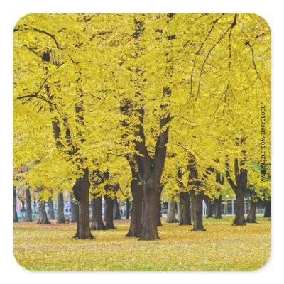 Autumn Sticker by ZippyGlobe