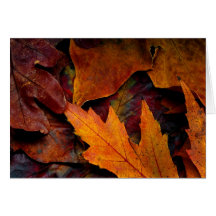 Autumn Still-life Greeting Card