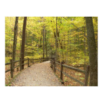 Autumn Stillness Poster posters