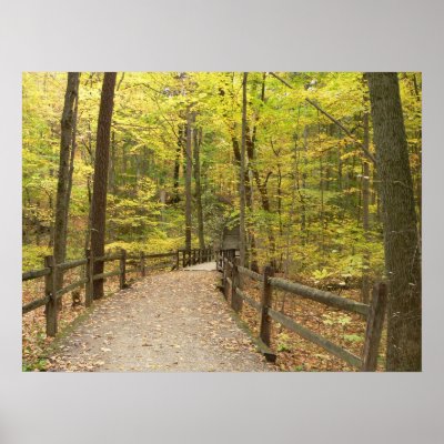 Autumn Stillness Poster by hopefulone