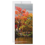 Autumn Storm Coming Personalized Rack Card