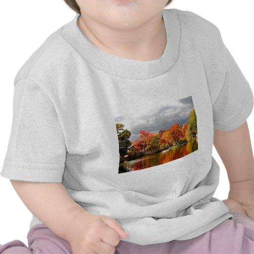 Autumn Storm Coming Tshirt